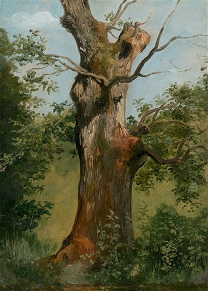 Tree Study Oil Painting by Jules Coignet