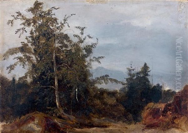 Vue Prise En Foret (fontainebleau ?) Oil Painting by Jules Coignet