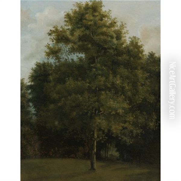 A Tree (study) Oil Painting by Jules Coignet