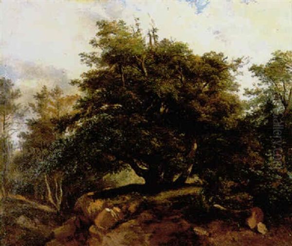 Le Vieux Chene En Foret De Fontainebleau Oil Painting by Jules Coignet