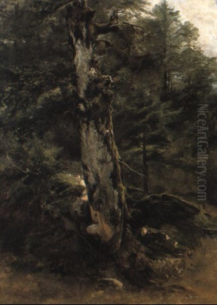 Foret A Fontainebleau Oil Painting by Jules Coignet