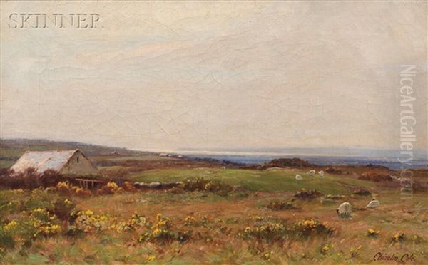 Seaside Pasture With Sheep Oil Painting by Chisholm Cole