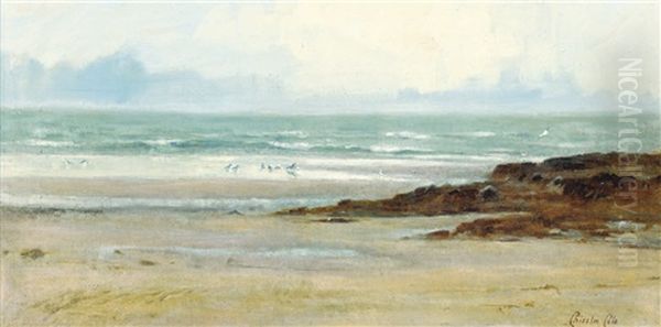 Gulls On A Beach, Low-tide Oil Painting by Chisholm Cole