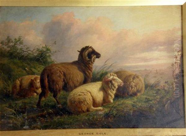 Sheep Resting In Landscape Setting Oil Painting by George Cole