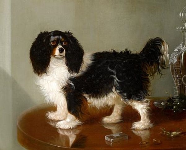 A Toy Spaniel Oil Painting by George Cole