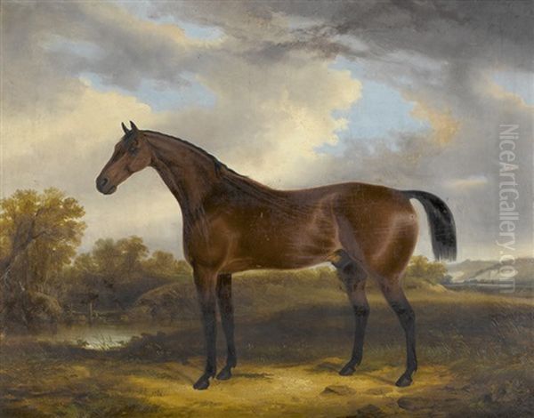 Portrait Of A Horse Oil Painting by George Cole