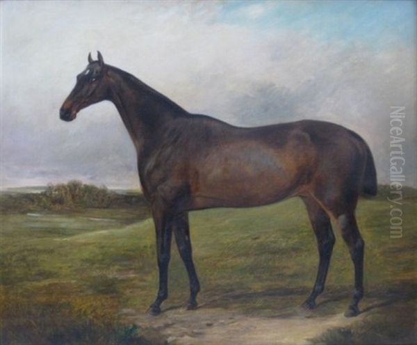 Profile Of A Thoroughbred Oil Painting by George Cole