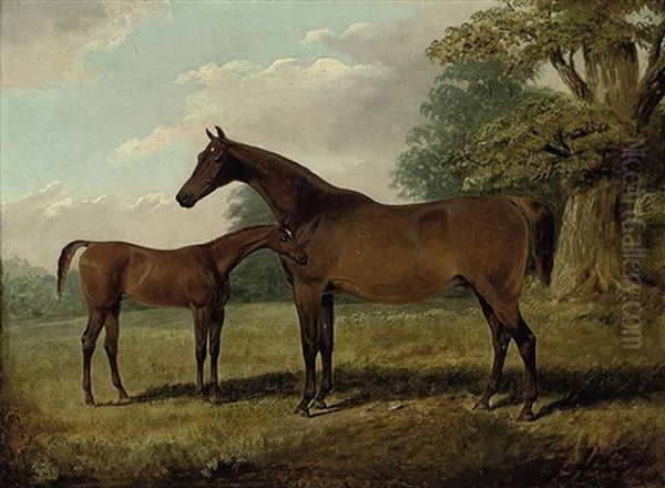 A Chestnut Mare (bessie Bedlam ?) With A Foal In A Field Oil Painting by George Cole