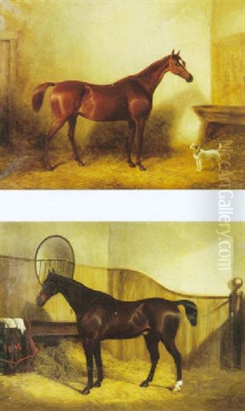 Brauner Im Stall Mit Kleinem Hund Oil Painting by George Cole