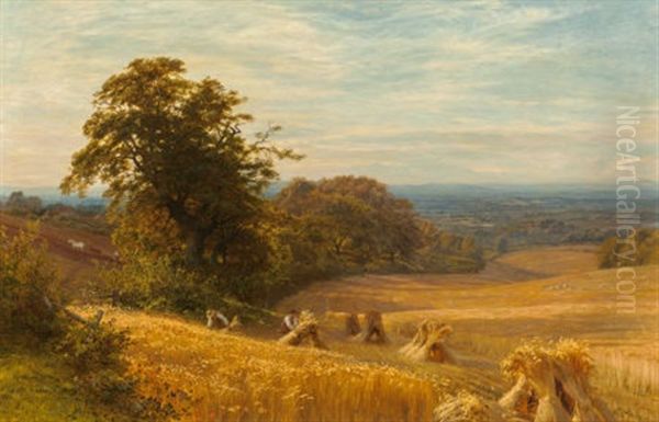 Cornfield At Abingdon, Berks, 1874 Oil Painting by George Vicat Cole