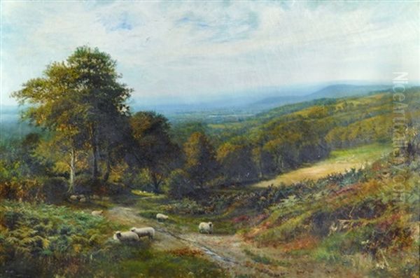 Looking Across Haslemere Oil Painting by George Vicat Cole