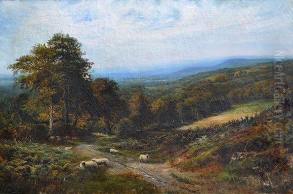 Looking Across Haslemere Oil Painting by George Vicat Cole