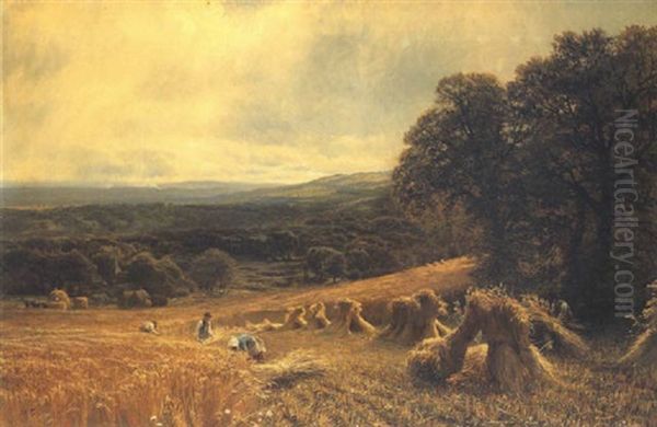 Harvesting On The North Downs Oil Painting by George Vicat Cole