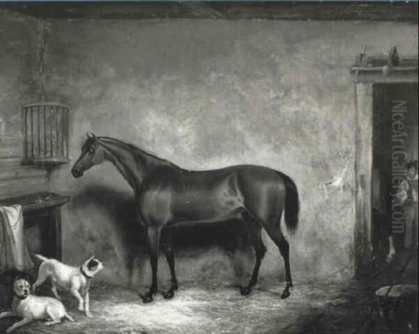 Bay Hunter In A Loose Box With Terriers by George Vicat Cole