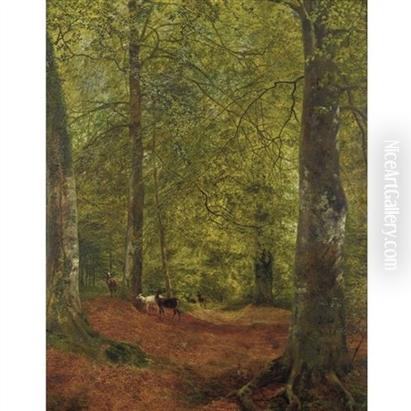 Deer In The Woods Oil Painting by Reginald Rex Vicat Cole