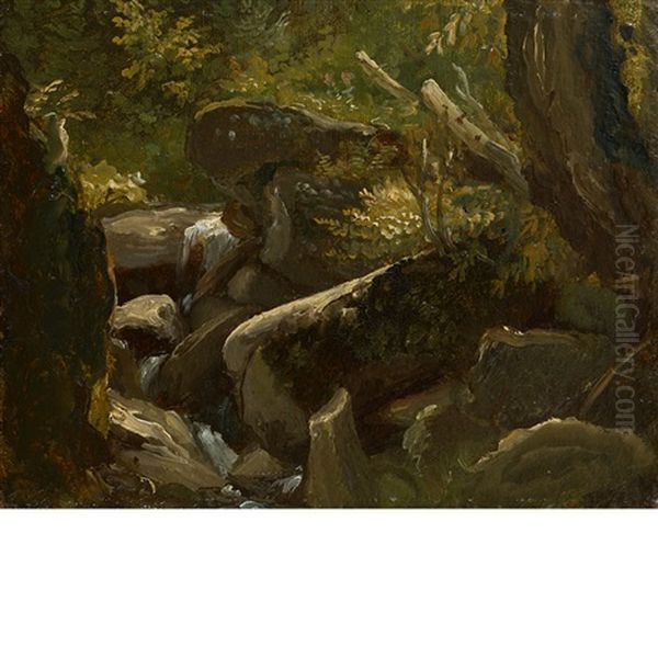 Forest Interior And Lake Landscape Study  (double-sided Work) Oil Painting by Thomas Cole