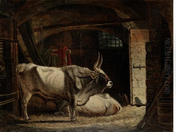 Oxen In A Stable Oil Painting by Charles Coleman