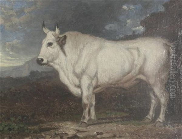 White Bull In A Landscape Oil Painting by Charles Caryl Coleman