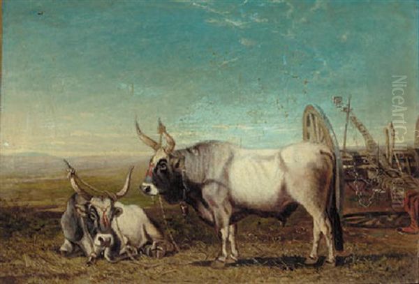 Long Horned Cattle In The Roman Campagna Oil Painting by Charles Caryl Coleman