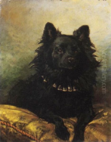 Il Cagnolino Nero Oil Painting by Enrico Coleman