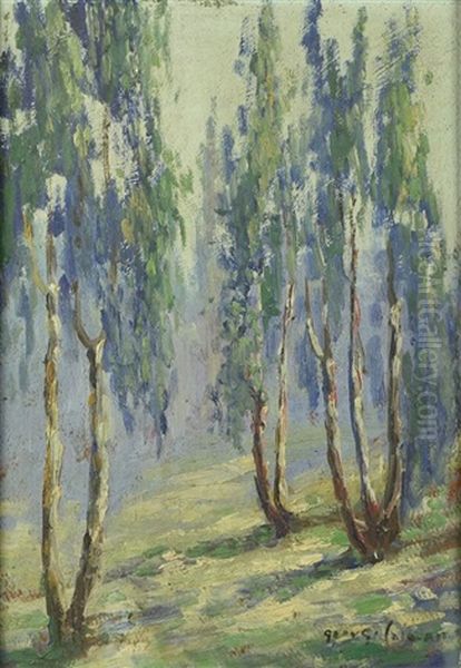 Eucalyptus Trees In The Mist Oil Painting by George Coleman