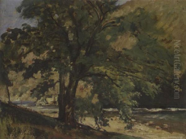 Riviere Et Arbre Oil Painting by Gustave Henri Colin