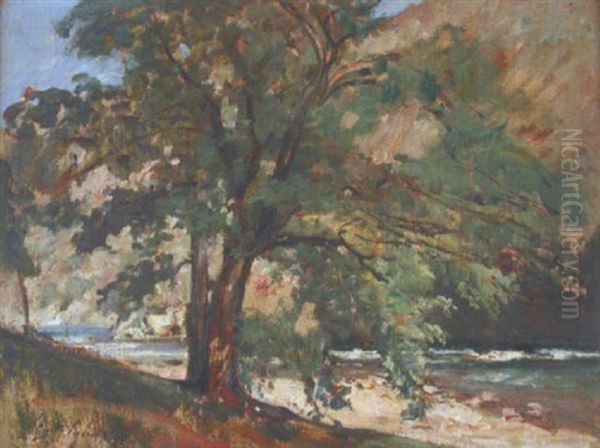 Arbre Au Bord De Riviere Oil Painting by Gustave Henri Colin