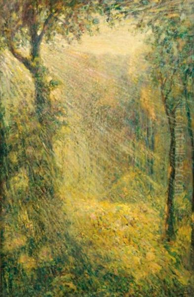 Rayon De Soleil En Sous-bois Oil Painting by Michel Auguste Colle