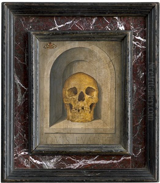 Memento Mori: Schadel In Einer Wandnische Mit Falter Oil Painting by Edward Collier