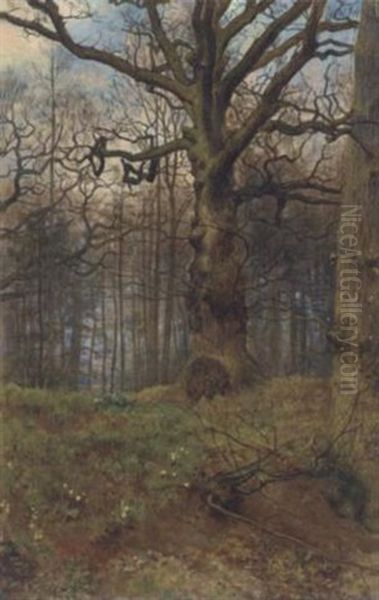 The Spring Wood Oil Painting by John Collier