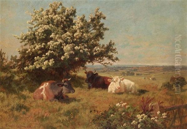 Cows In A Meadow Oil Painting by Charles Collins II