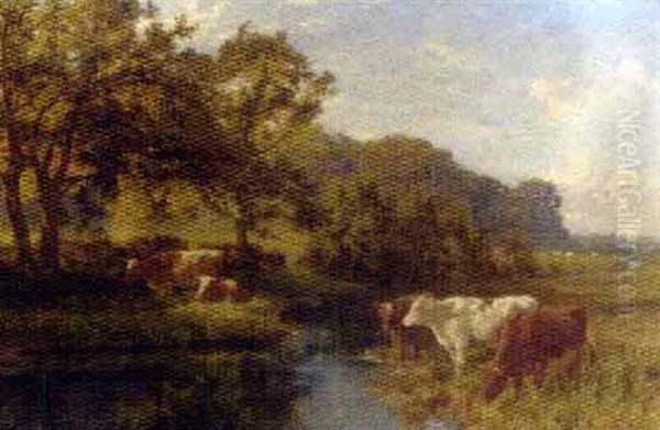 Cattle Watering In A Meadow Oil Painting by Charles Collins II