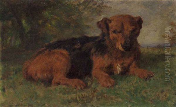 An Irish Terrier Oil Painting by Charles Collins II