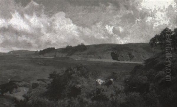 Cattle On The South Downs Oil Painting by Charles Collins II