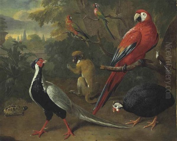 A Scarlet Macaw, Helmeted Guineafowl, Silver Pheasant, And Other Exotic Birds With A Monkey And A Tortoise In A Garden, A Landscape Beyond Oil Painting by Charles Collins