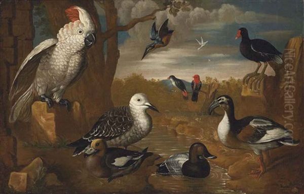 A Cockatoo, Kingfisher And Other Exotic Birds In A Wooded, River Landscape Oil Painting by Charles Collins