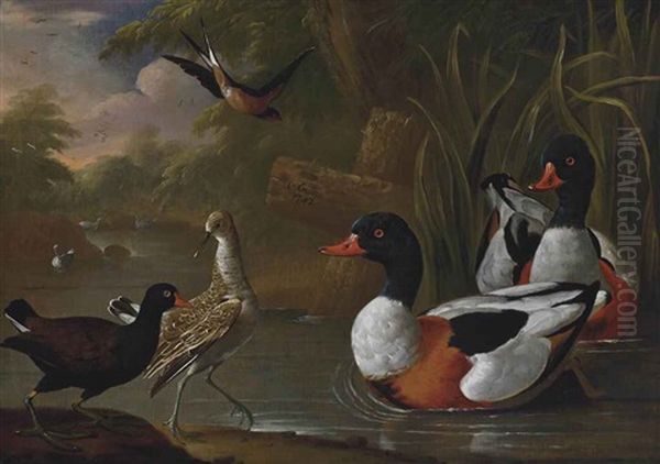 A River Landscape With A Moorhen, A Snipe, Two Shelduck And A Swallow Oil Painting by Charles Collins