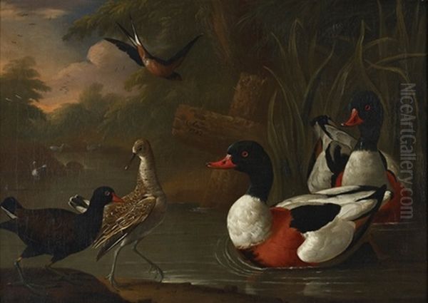 Landscape With Ducks Oil Painting by Charles Collins