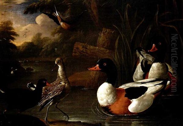 A Landscape With Ducks Oil Painting by Charles Collins