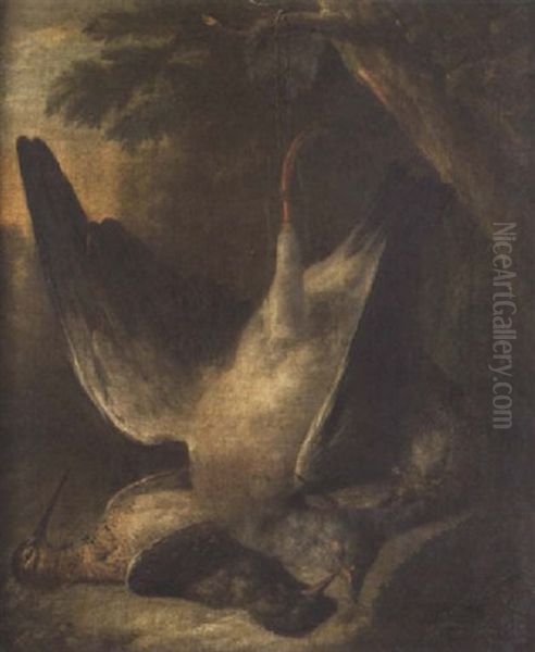 A Pigeon And Woodcock Hanging From A Tree Oil Painting by Charles Collins