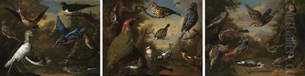 Ornamental Birds In A Landscape Oil Painting by Charles Collins