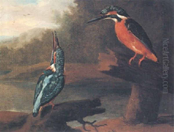 Kingfishers In A Landscape Oil Painting by Charles Collins