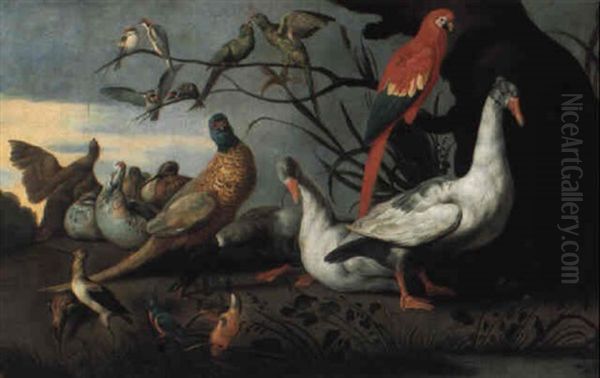 Exotic Fowl In A Landscape Oil Painting by Charles Collins