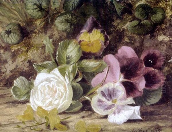 Naturaleza Muerta Con Rosa (still Life With Rose) Oil Painting by Thomas Collins