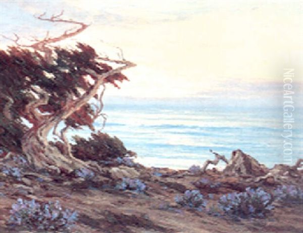 Cypress Point Monterey Oil Painting by Roi Clarkson Colman