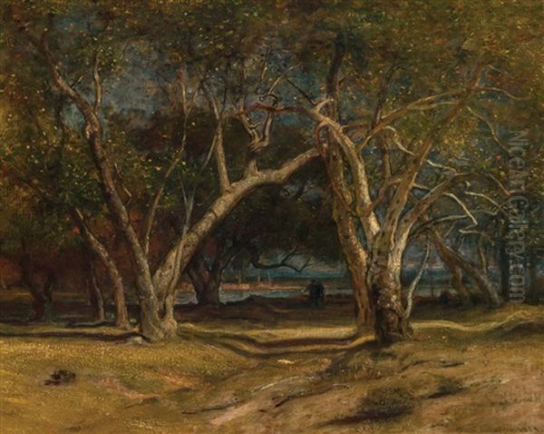 Landscape Near Santa Barbara Oil Painting by Samuel Colman