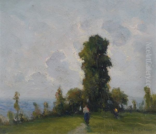 Campagna Piemontese Oil Painting by Giovanni Colmo