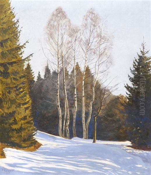 Waldlichtung Mit Birken An Einem Sonnigen Wintertag Im Fruhjahr Oil Painting by Plinio Colombi