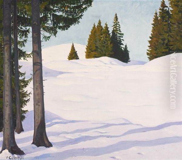 Tannen In Hugeliger Winterlandschaft Oil Painting by Plinio Colombi