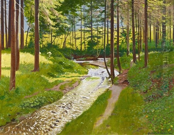 Sommerlicher Wald Mit Bachlauf by Plinio Colombi